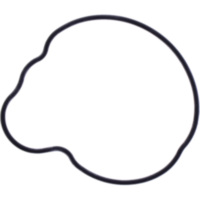 Dichtung Wasserpumpe Deckel Originalersatzteil 1109165