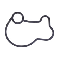 Dichtung Wasserpumpe Deckel Originalersatzteil 1109169