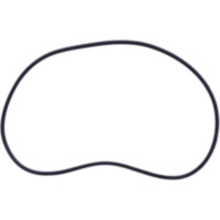 O-Ring Originalersatzteil