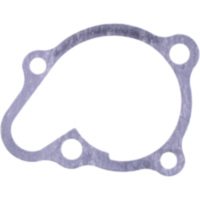 Dichtung Wasserpumpe Deckel Originalersatzteil 1109196