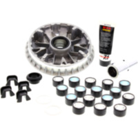 VARIOM TUNING Malossi 5114148