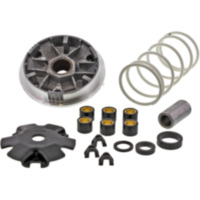 VARIOM TUNING Malossi 517075