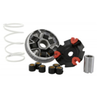 VARIOM TUNING Malossi 5113892