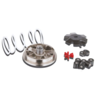 VARIOM TUNING Malossi 519988