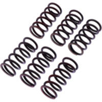 Kupplungsfedern verst&auml;rkt TRW MEF3006