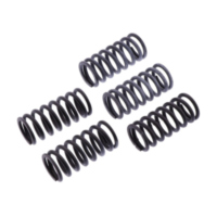 Kupplungsfedern verst&auml;rkt TRW MEF3095