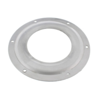 Abdeckscheibe Originalersatzteil 07737101