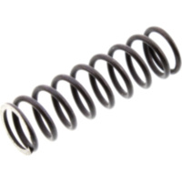 Kupplungsfeder Originalersatzteil 289607