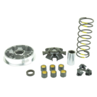 Variomatik tuning Athena P400510110004