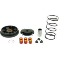 VARIOM TUNING Athena P400485110001