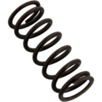 Kupplung Feder f&uuml;r: Vespa Originalersatzteil 289614