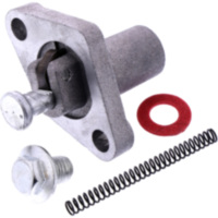 Steuerkettenspanner komplett