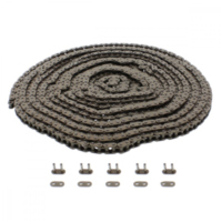 Steuerkette 219FTH/980