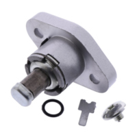 Steuerkettenspanner f&uuml;r: Derbi Original 862850