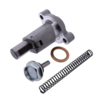 Steuerkettenspanner f&uuml;r: Derbi Original