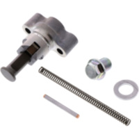 Steuerkettenspanner f&uuml;r: Kawasaki Original 120481176