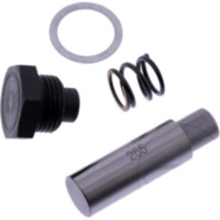 Steuerkettenspanner Satz Originalersatzteil