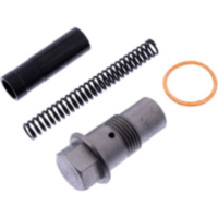 Steuerkettenspanner Satz Originalersatzteil 1013723