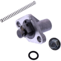 Steuerkettenspanner Originalersatzteil 1082830