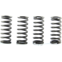 Kupplungsfedern verst&auml;rkt EBC CSK208