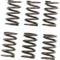 Kupplungsfedern verst&auml;rkt EBC CSK089