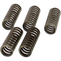 Kupplungsfedern verst&auml;rkt EBC CSK215