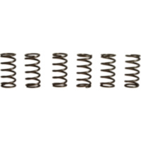 Kupplungsfedern verst&auml;rkt EBC CSK165