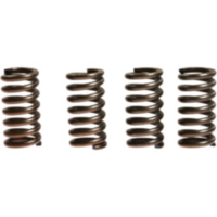 Kupplungsfedern verst&auml;rkt EBC CSK012