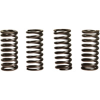 Kupplungsfedern verst&auml;rkt EBC CSK016