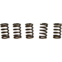 Kupplungsfedern verst&auml;rkt EBC CSK078