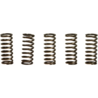 Kupplungsfedern verst&auml;rkt EBC CSK101