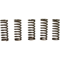 Kupplungsfedern verst&auml;rkt EBC CSK112