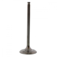 Einlassventil titan Prox 2824232