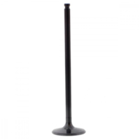 Einlassventil titan Prox 2829242