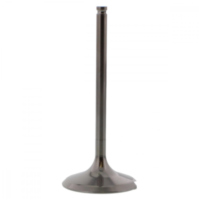 Einlassventil titan Prox 2834052