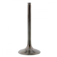 Einlassventil titan Prox 2844092