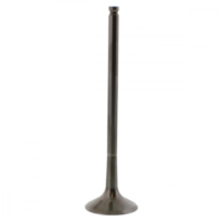 Auslassventil titan Prox 2863331