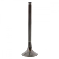 Auslassventil titan Prox 2863511