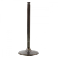 Einlassventil titan Prox 2863512