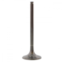 Einlassventil titan Prox 2864232