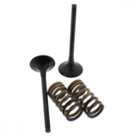 Ventil Satz Prox 28SES63531