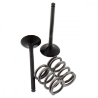 Ventil Satz Prox 28SES34061