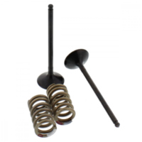 Ventil Satz Prox 28SES24141