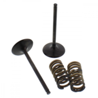 Ventil Satz Prox 28SIS63532