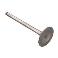 Auslassventil titan Prox 2824441