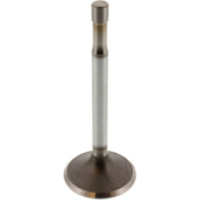 Einlassventil 1134101