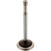 Auslassventil Siebenrock