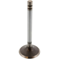 Einlassventil 1134214