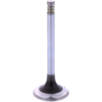 Auslassventil Siebenrock 1134453