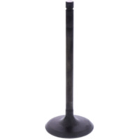 Einlassventil Originalersatzteil 1009395